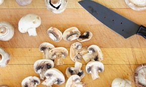 what is the mushroom diet