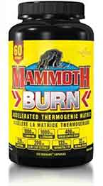 Mammoth Burn fat burner